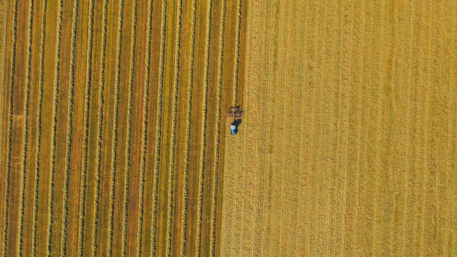 Klimawandel: Konsequenzen Für Die Globale Landnutzung - BUND ...