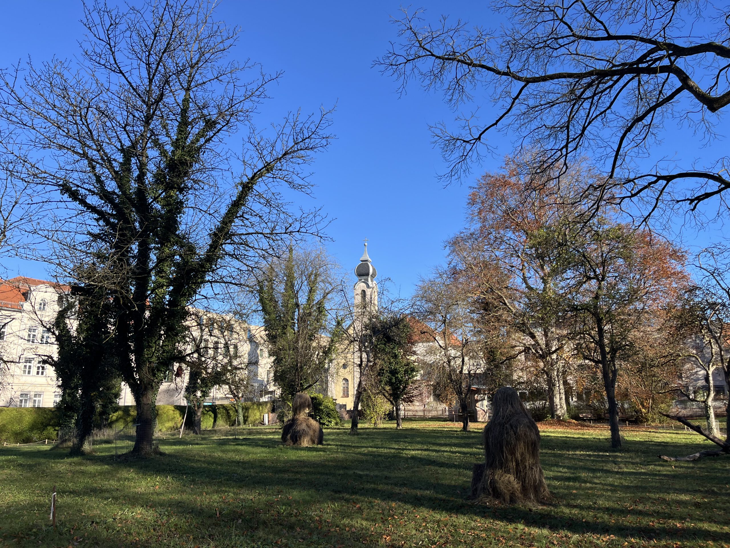 Entdeckungs-Rundgang durch den Magdalenenpark Pflanzen und Tiere bestimmen mit den bekanntesten Apps: Flora Incognita, iNaturalist, ObsIdentify, PlantNet