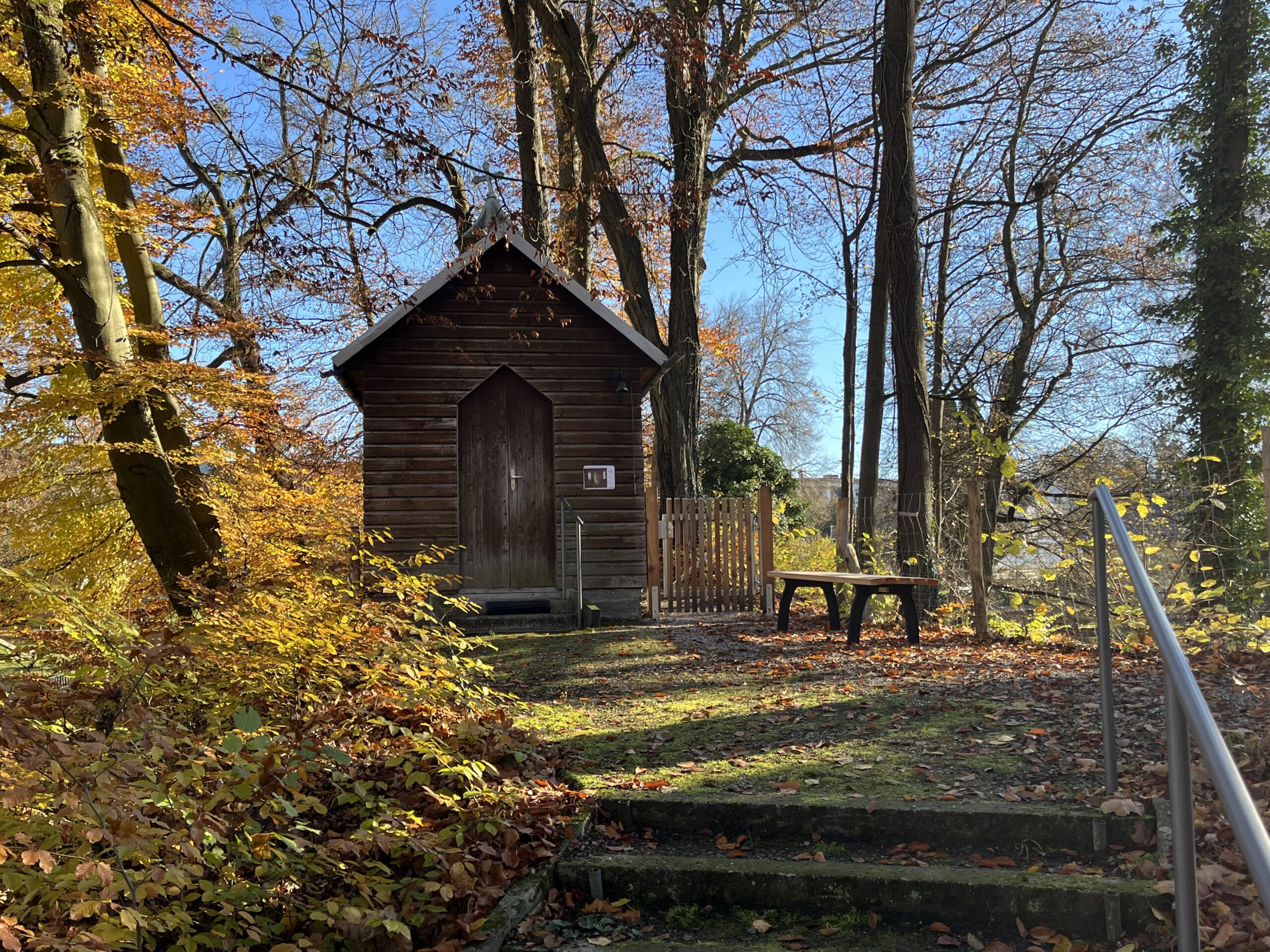 Stadtökologische Exkursion im Magdalenenpark, Einführung in die Themen städtische Vogelvielfalt und grüne Infrastruktur