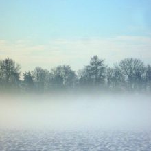 Auf winterlicher Spurensuche in Stadt und Natur