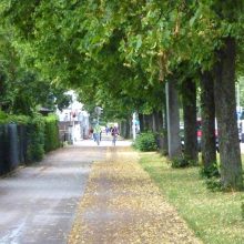 Kahlschlag im Münchner Westen geplant