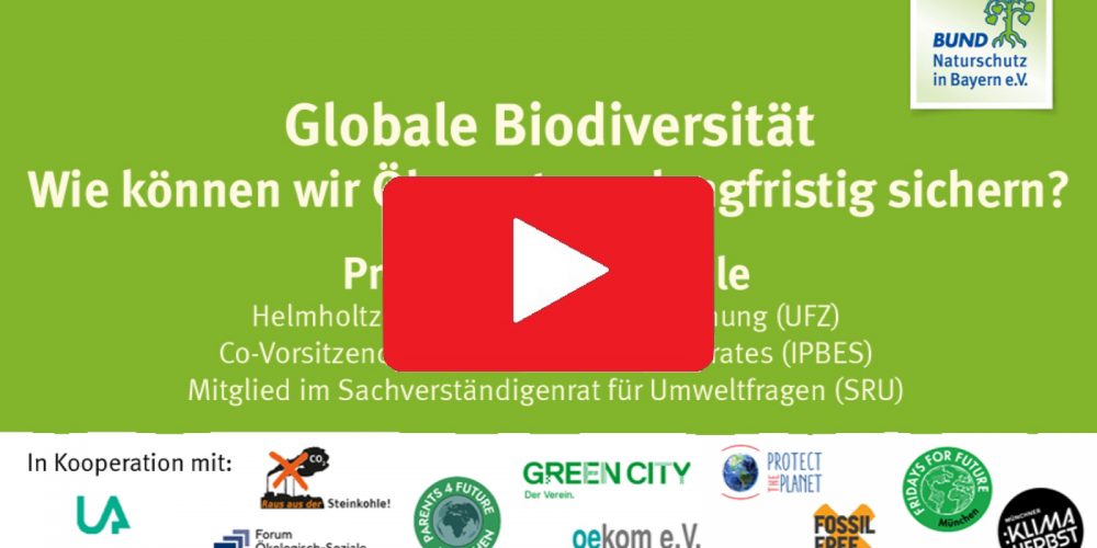Aufgezeichneter Vortrag: „Globale Biodiversität: Wie können wir Ökosysteme langfristig sichern?“