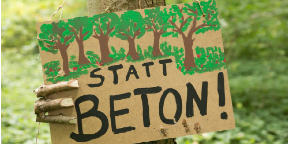 Bäume statt Beton – Aktion zum Tag des Baumes