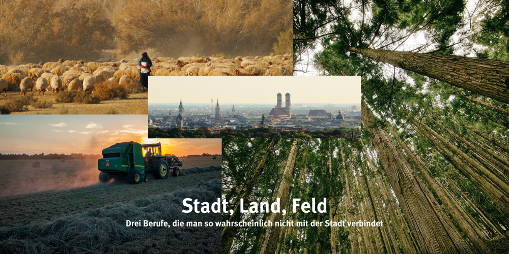Sendung September 2021: Stadt, Land, Feld