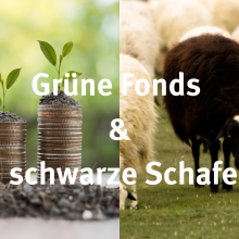 Sendung Dezember 2021: Grüne Fonds &#038; schwarze Schafe