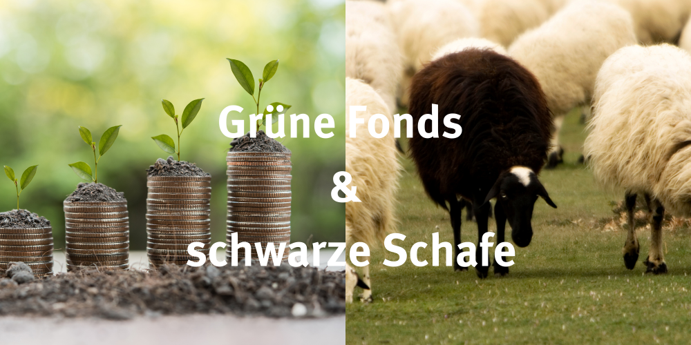 Sendung Dezember 2021: Grüne Fonds &#038; schwarze Schafe