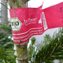 BIO-Weihnachtsbäume: Ein Beitrag zum Naturschutz