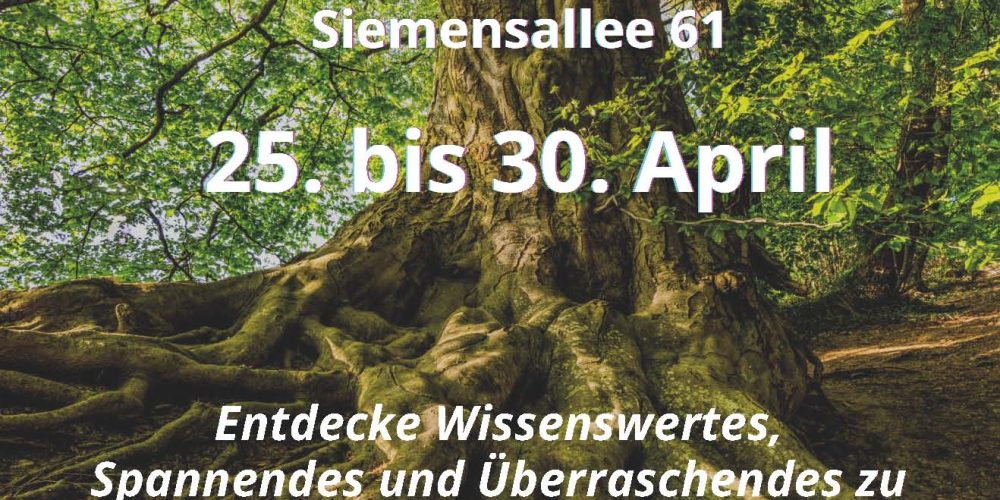 Tag des Baums: Programm und PM Konstanter Abwärtstrend bei Münchner Bäumen