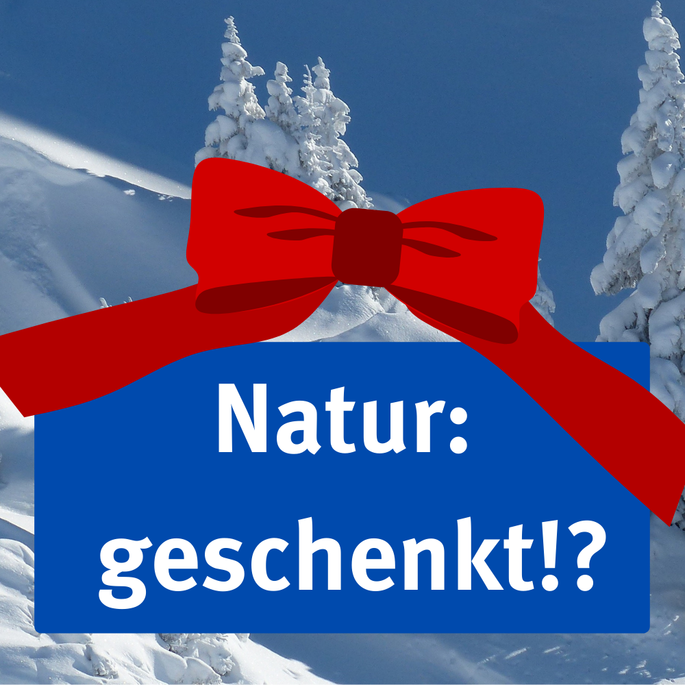 Sendung Dezember 2022: Natur &#8211; geschenkt!?