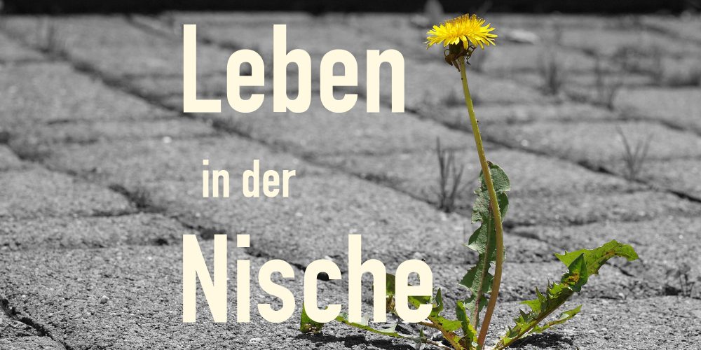 Sendung Oktober 2022: Wohlfühlort Nische – Nischenjobs und Nischenvegetation