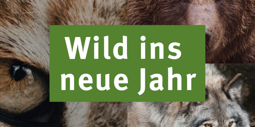 Sendung Januar 2023: Wild ins neue Jahr
