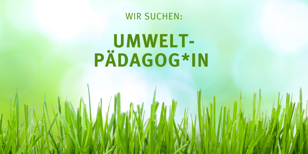 Wir suchen: Freie Mitarbeiter*in (m/w/d) zur Unterstützung des umweltpädagogischen Teams des BUND Naturschutzes in München