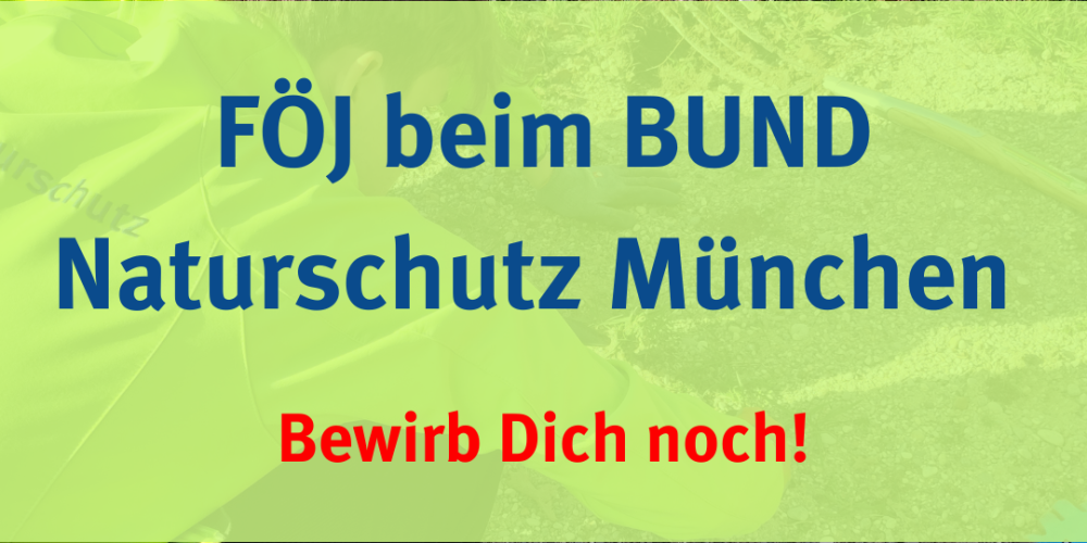 Miniaturansicht-Eintrag