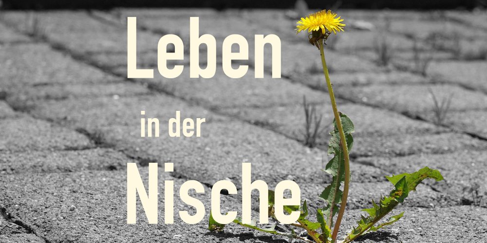Sendung Oktober 2022: Wohlfühlort Nische &#8211; Nischenjobs und Nischenvegetation