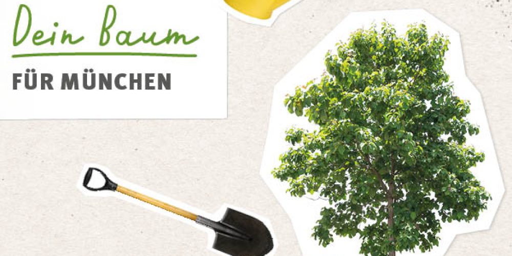 Dein Baum für München &#8211; das BN-Projekt!