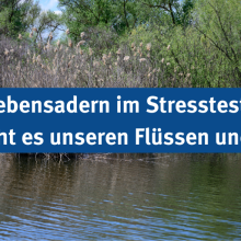 Sendung Juni 2024: Lebensadern im Stresstest – Wie geht es unseren Flüssen und Seen?