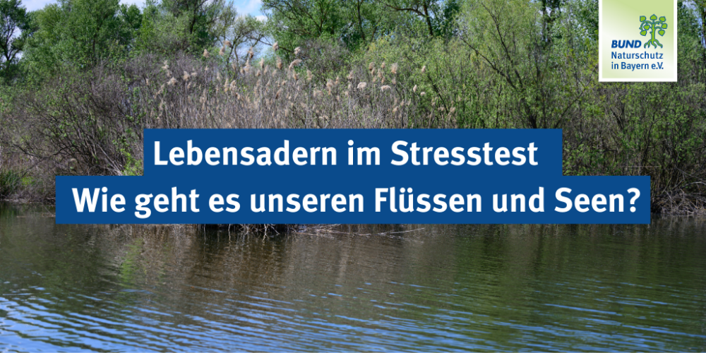 Sendung Juni 2024: Lebensadern im Stresstest – Wie geht es unseren Flüssen und Seen?