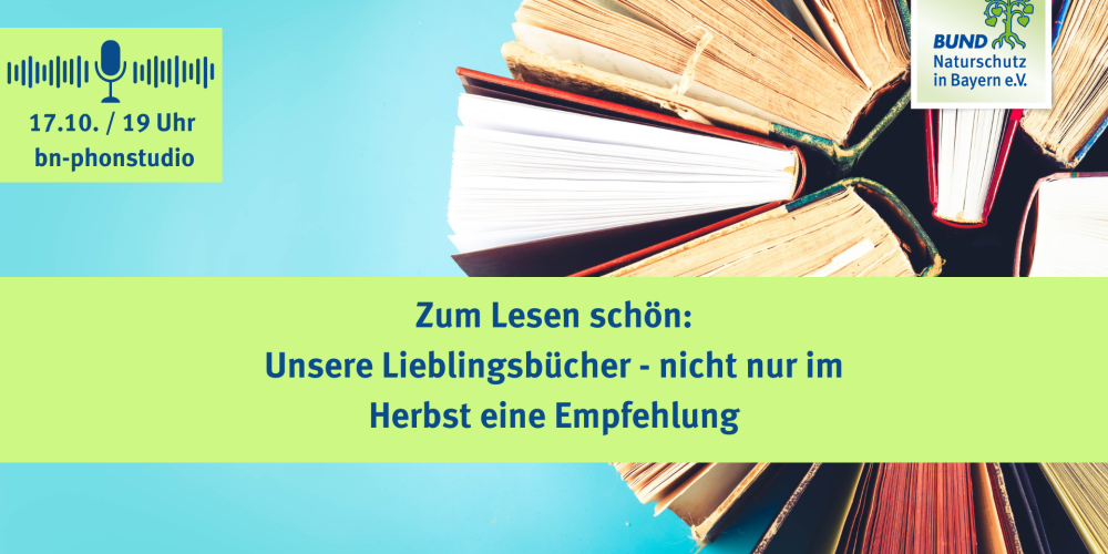 Donnerstag, 17. Oktober: BN-Phonstudio von 19 &#8211; 20 Uhr