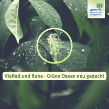 Sendung November 2024: Vielfalt und Ruhe &#8211; Grüne Oasen neu gedacht