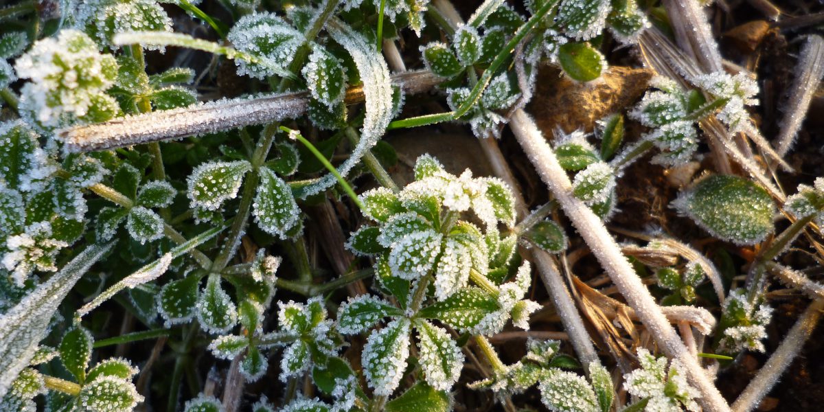 Den Naturkreislauf unterstützen - Herbst und Winter 