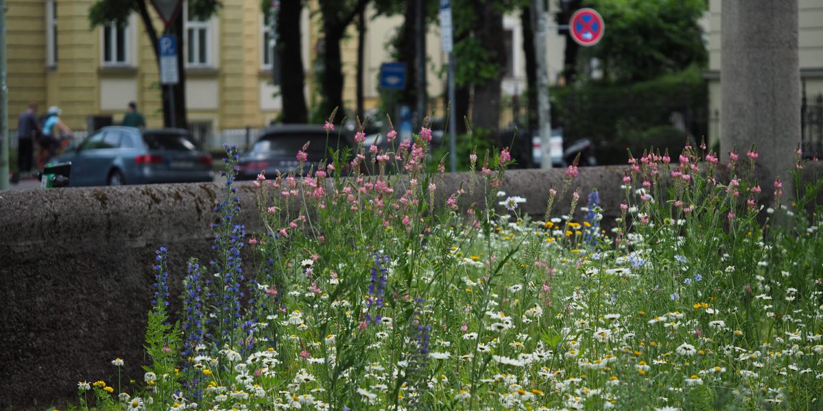 Biodiversitätsberatung