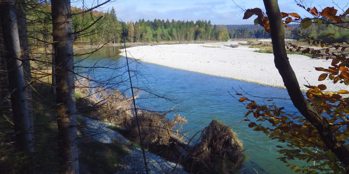 Ortsgruppe Schäftlarn