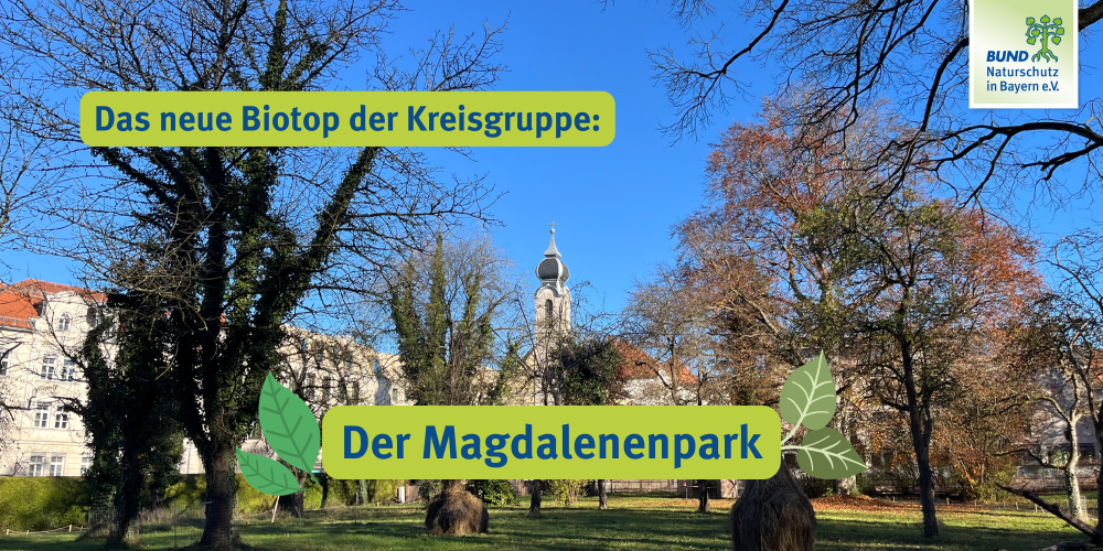 Das neue Biotop: Der Magdalenenpark