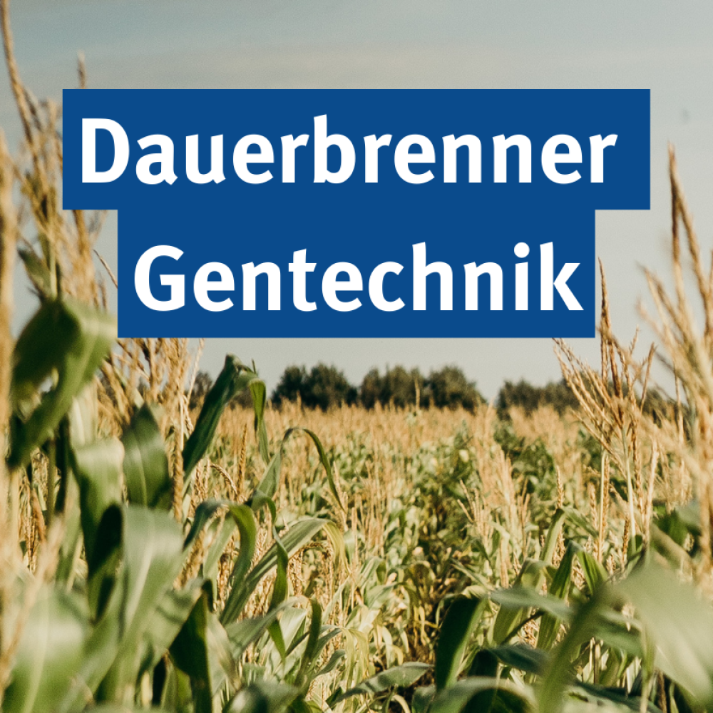 Sendung Mai 2023: Dauerbrenner Gentechnik