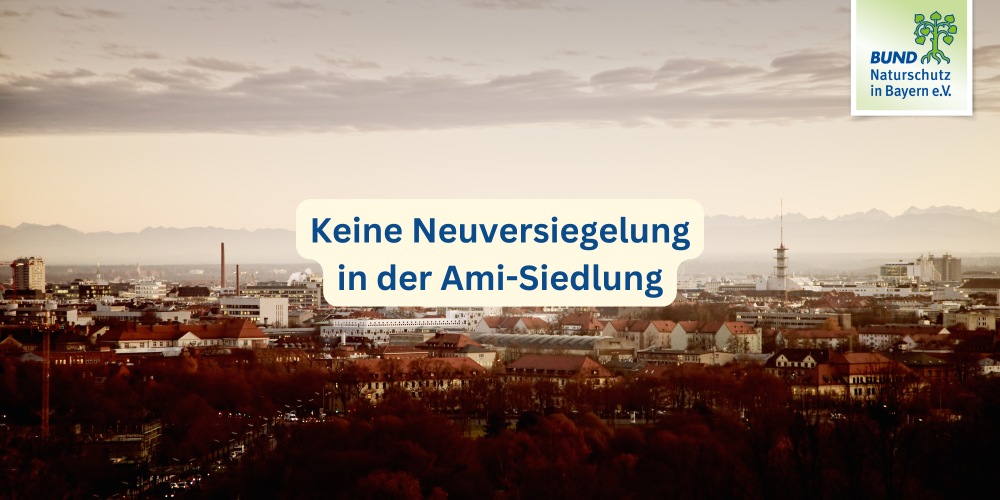 Keine Neuversiegelung in der Ami-Siedlung