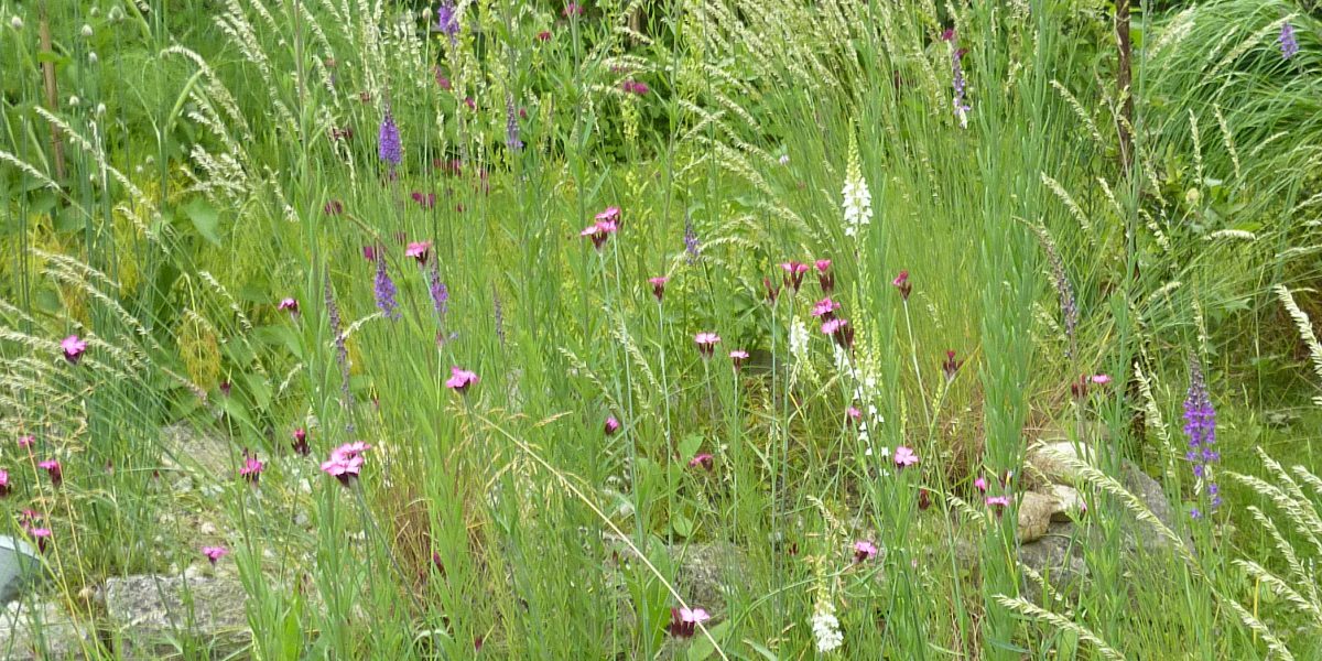 Den Naturkreislauf unterstützen - Frühjahr