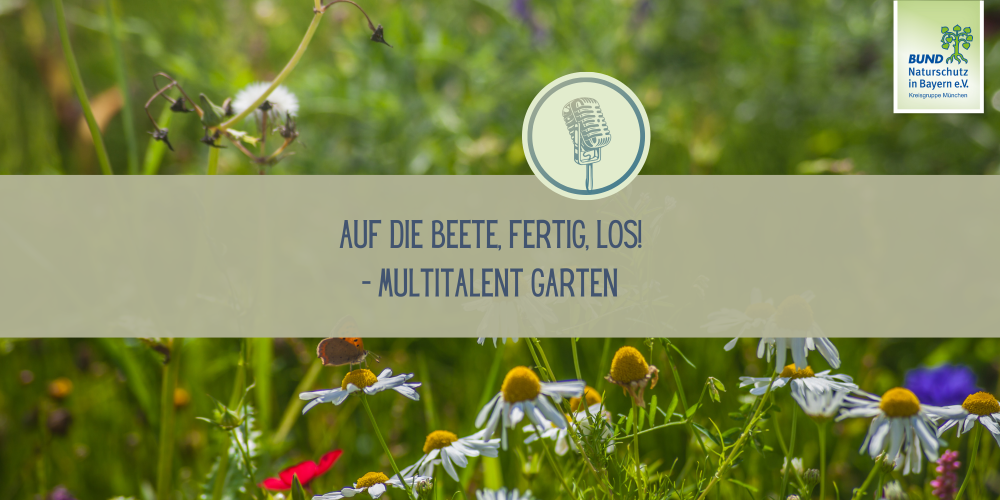 Sendung April 2025: Auf die Beete, fertig, los! – Multitalent Garten