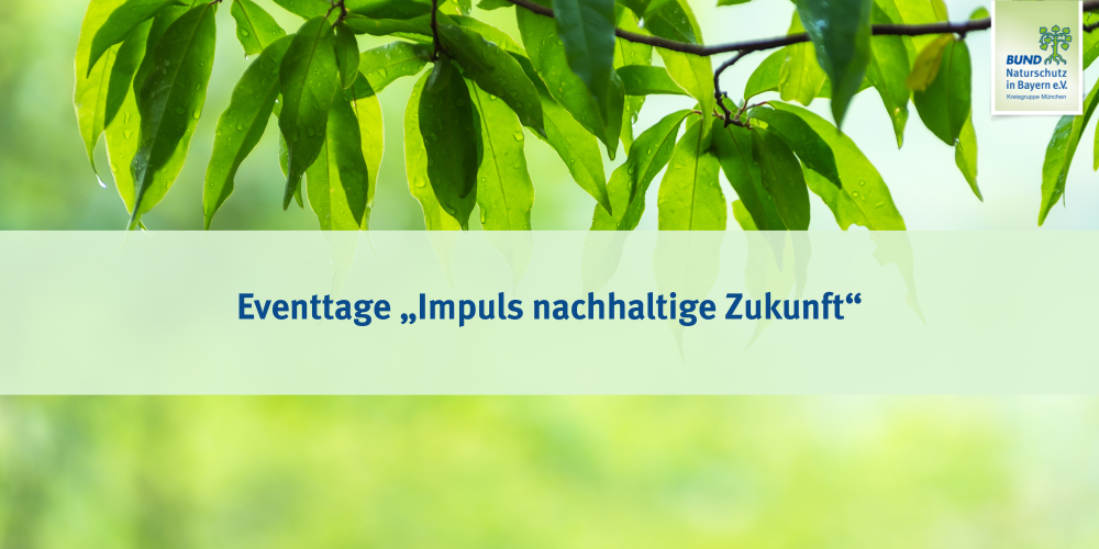 „Impuls nachhaltige Zukunft“ – Höhenkirchen-Siegertsbrunn feiert 5 Jahre Klimaschutzgemeinde