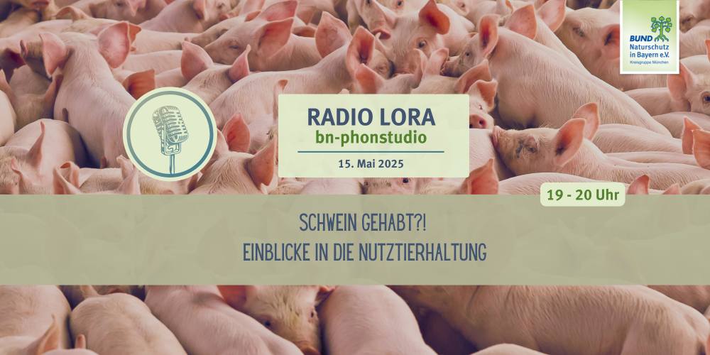 Sendung Mai 2025: Schwein gehabt? Einblicke in die Nutztierhaltung