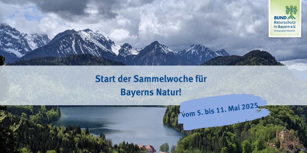 Sammlung für Bayerns Natur vom 5. bis 11. Mai 2025