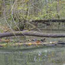 Rettet unser Wasser