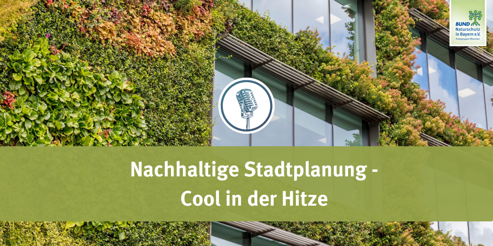 Sendung Juli 2025: Nachhaltige Stadtplanung – Cool in der Hitze