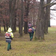 Nur Lärm und Staub mit dem Laub