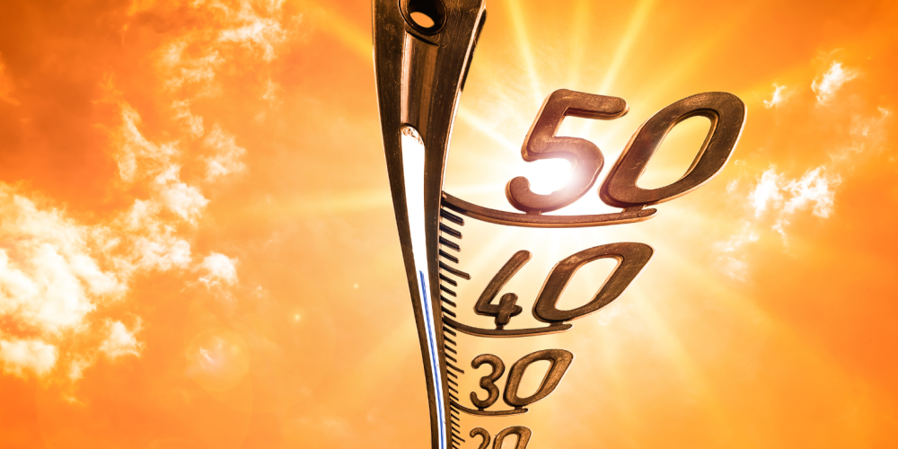 Miniaturansicht-Eintrag