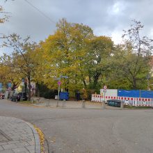 27 Bäume im Westend bedroht