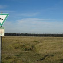 BN fordert: An Koalitionsvertrag halten – kein Tunnel im Norden