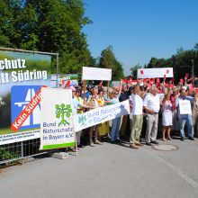 Klimaschutz braucht mehr Wälder, nicht mehr Straßen