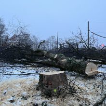 München kann keinen Klimaschutz