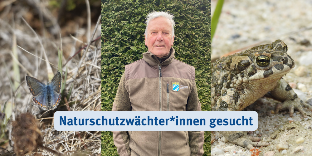 Miniaturansicht-Eintrag