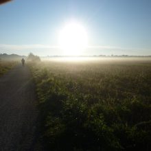 Affront um den Landschaftspark West