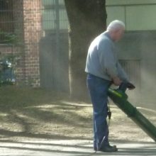 Laubbläser sind Keimschleudern