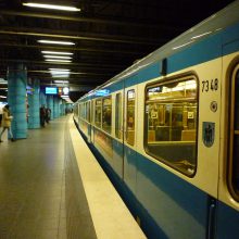 ÖPNV darf nicht Baumkiller werden