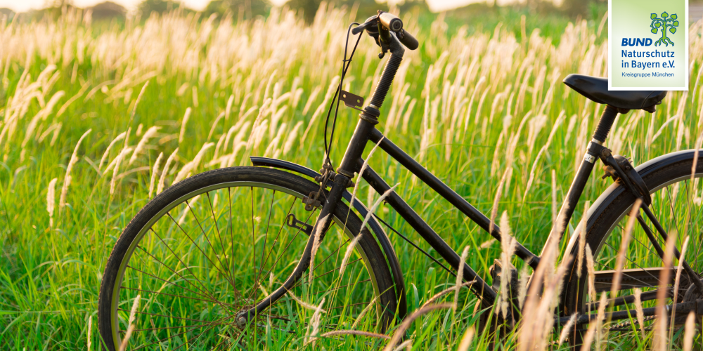 Miniaturansicht-Eintrag