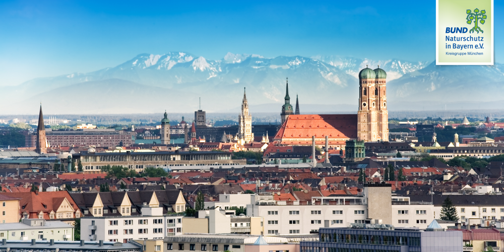 Miniaturansicht-Eintrag