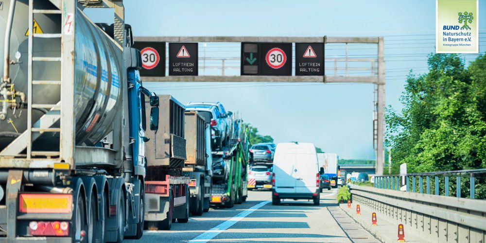 Miniaturansicht-Eintrag