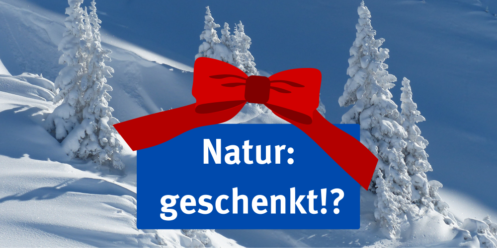 Miniaturansicht-Eintrag